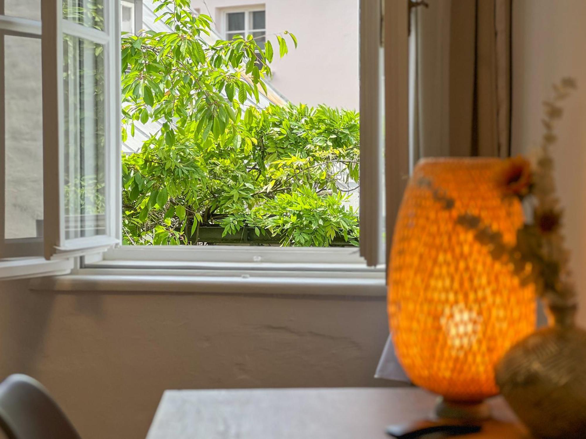 Apartments Salzburg - Bergstrasse מראה חיצוני תמונה